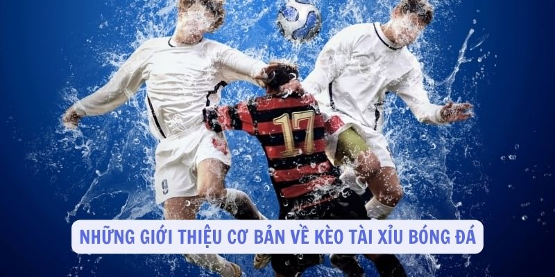 Những giới thiệu cơ bản về kèo tài xỉu bóng đá